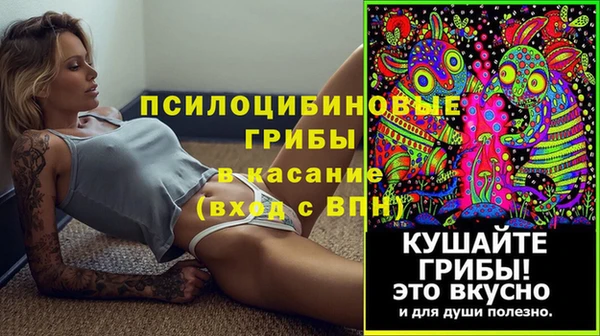 прущая мука Алексин