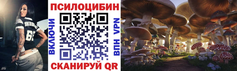 Галлюциногенные грибы GOLDEN TEACHER  Набережные Челны 